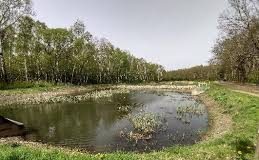 analiza zagrożeń w tym identyfikacja miejsc, w których występuje zagrożenie bezpieczeństwa osób wykorzystujących obszar wodny do pływania, kapania się , uprawiania sportu lub rekreacji na terenie gminy