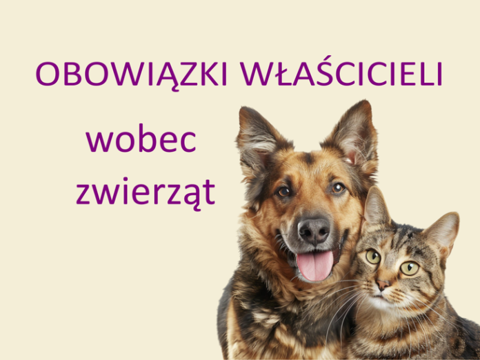 obowiązki_włascicieli