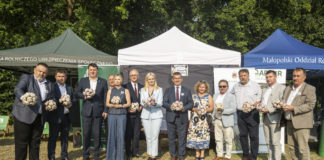 XVI Małopolskie Święto Czosnku